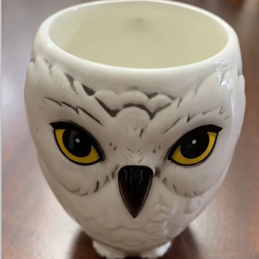 Harry Potter Hedwig Owl HOGWARTS Ceramic Mug Coffee Tea Cup Halloween
